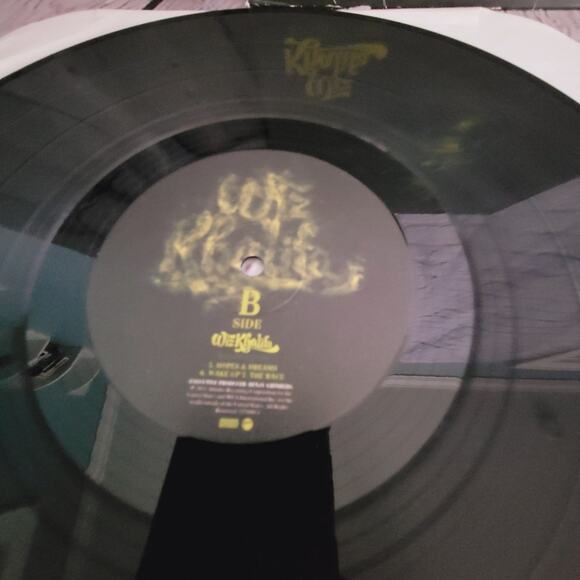 Wiz Khalifa - Rolling Papers LP w/ Insert ONLY SIDE A & B. 2ND VINYL IS MISSING - Picture 5 of 7